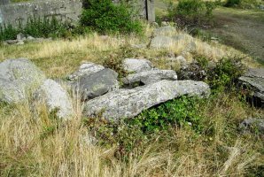 Casa de la Mina trikuharria