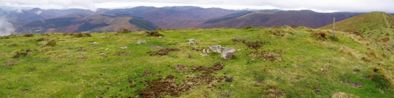 Amonamotzeko kaskoa mairubaratza