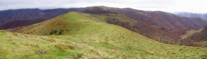 Auntzbizkar lepoa mendebaldetik ikusita