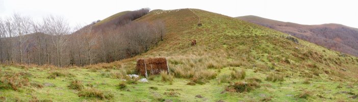 Mendebaldeko bizkarreko lepo bat