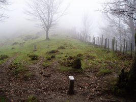 Ibintza mairubaratzak