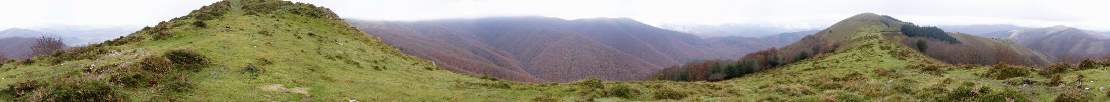 Beltzuntza inguruan 360ºtako ikuspegia