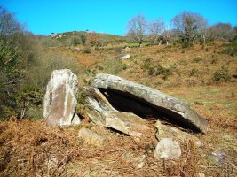 Etxartea trikuharria