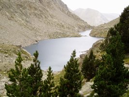 Ballibiernako beheko aintzira