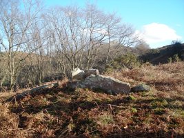 Larria I  trikuharria