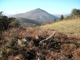 Larria III  trikuharria