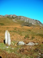 Soroaundi trikuharria