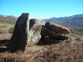 Etxartea trikuharria