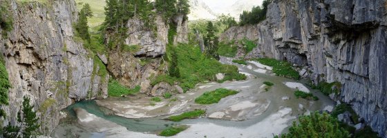 Forau dels Aigualluts