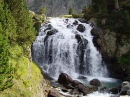 Aiguallutseko urjauzia