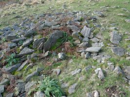 Zutikako harriaren xehetasuna