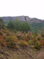 Aldapaburu, Arriasgoititik