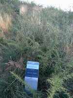 Hauxe da monumentuaren egoera 2008-12-29an