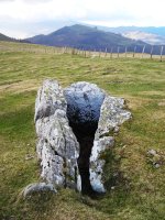 Pilotasoro trikuharria