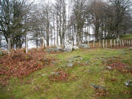 Lindus 1 hego trikuharria