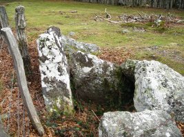 Lindus 1 hego trikuharria