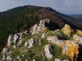 Gailurra eta Lakarri