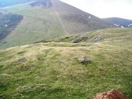 Xantxoten Harria trikuharria