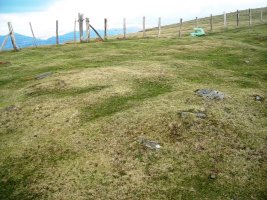 Pilotasoro   harrespila