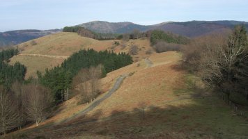 Unalbideko bizkar luzea