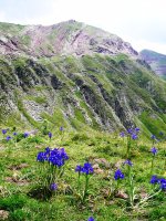 Lore politak  Mallo Blancoko amildegian