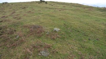 Irudimen pixka bat ere behar da...