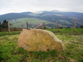 Katillotxu 1 trikuharria