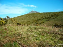 Erentzu mendebalde trikuharria