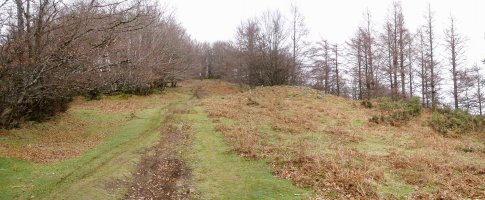 Aitzpuruko zabalean gora Kurutzebakarrera igotzen den bidea, eta honen eskuinean trikuharria