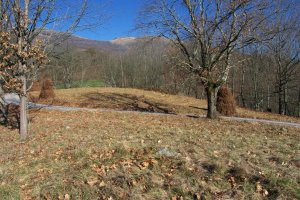 Erdialdean ikusten den harri mutur hori.