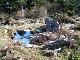 Urtapotolueta I trikuharria