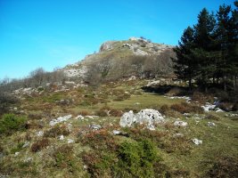 Urtapotolueta I trikuharria