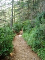 Paradoretik igotzen den bidea