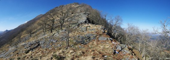 Ekialdeko bizkarreko pasarte bat