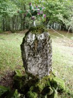 Kurutzebakarreko gurutzea