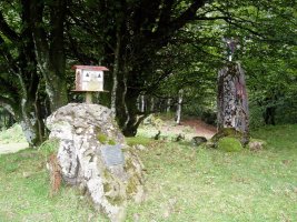 Kurutzebakarreko tontorra