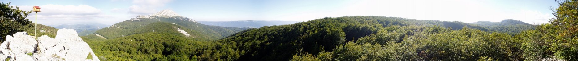 Liñategietatik ikuspegi zabala