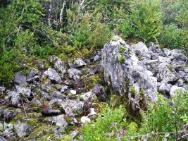 Ugarra 2  mendebal trikuharria