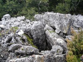 Ugarra 1 ekialde trikuharria