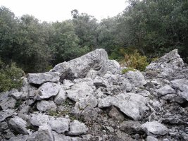 Ugarra 1 ekialde trikuharria