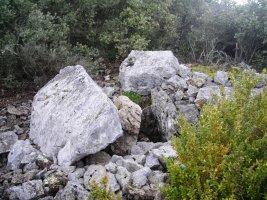 Boluntza 2 hego trikuharria