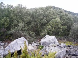 Boluntza 2 hego trikuharria