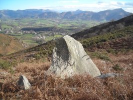 Gaztenbakarre  zutarria