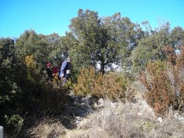 La Pieza de Luis trikuharria