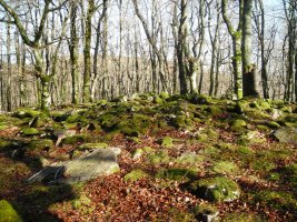 Erroizte Azpikoa trikuharria