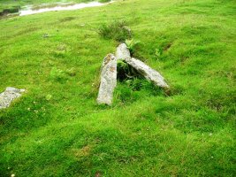 Azpegi 4 hego trikuharria