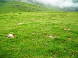 Azpegi  mendebalde harrespila