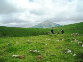 Idopilko Soroa harrespila