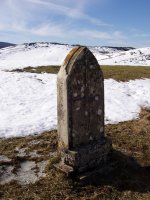 Hilarria Zurtzeta mendian