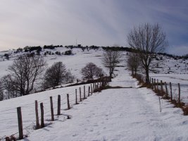 Arregia Berroandia lepotik